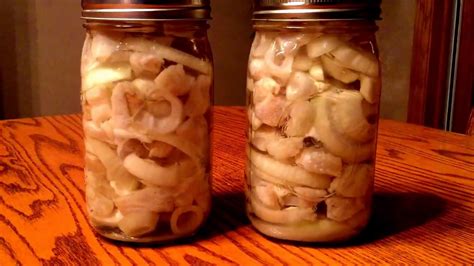 Roy's Pickled Fish (Northern Preferred) .
